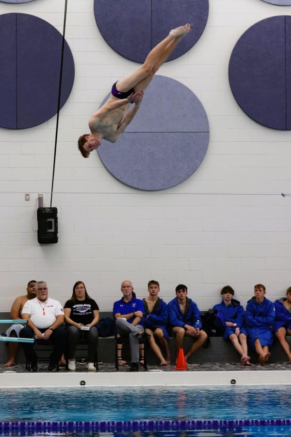 John Martin swept the board in diving at the Warrior Classic.