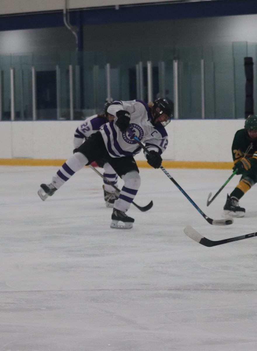 Warriors varsity hockey puts up strong fight against Grosse Pointe North