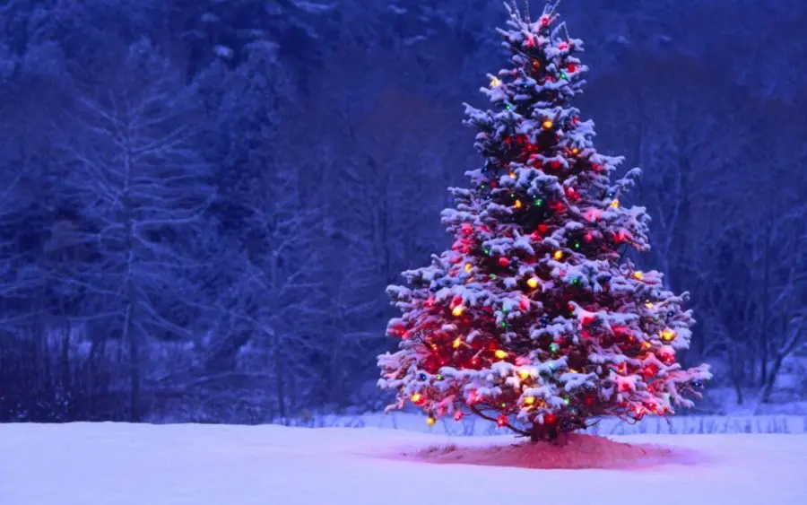 The History of Christmas and its Traditions